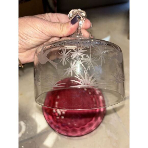 GLASS  DOME CHEESE Butter DESSERT COVERED DISH 7x9” Cranberry Clear Birds Trees - Picture 5 of 7